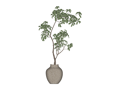 盆栽绿植植物模型
