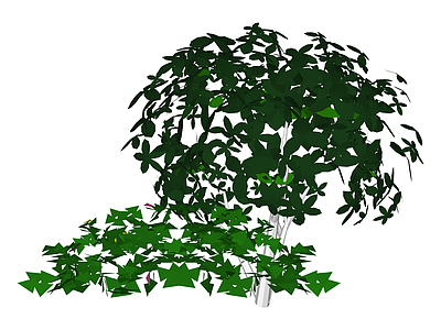 带盆景观绿植组合