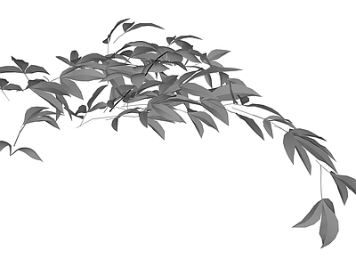 垂坠枝叶植物组件