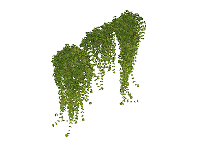 垂吊绿植模型