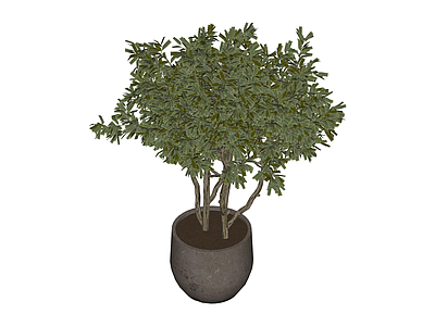 盆栽绿植灌木模型