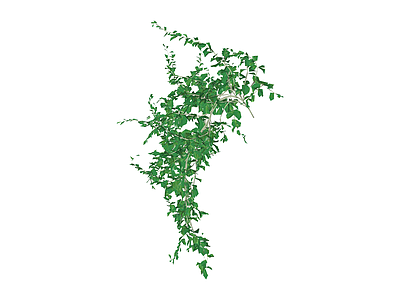 垂吊绿植模型