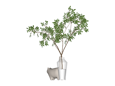 透明花瓶绿植组合