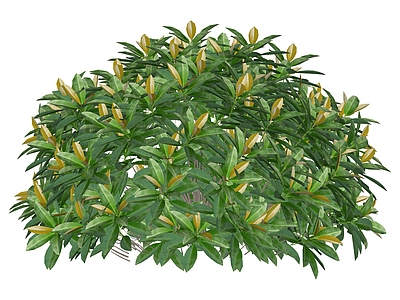 带盆绿植灌木模型
