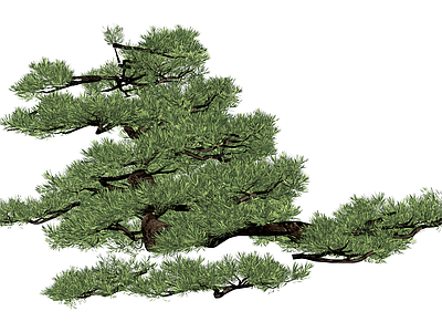 造型松树景观模型