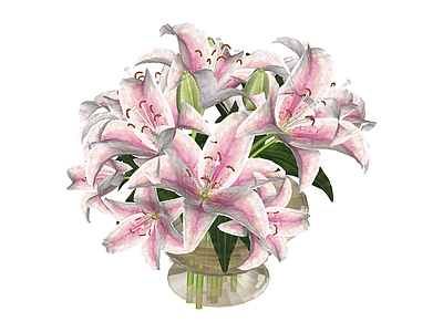 百合花盆栽组合