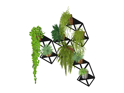多盆绿植组合