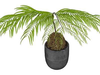 盆栽绿植模型