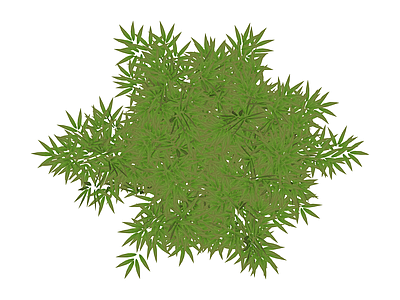 丛生绿植灌木模型