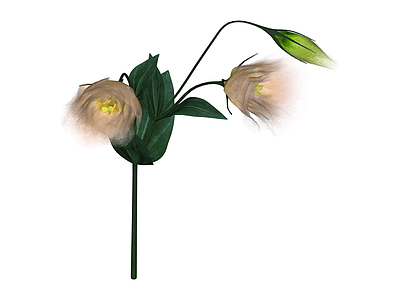 粉色花艺组合