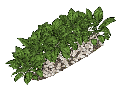 景观绿植组合