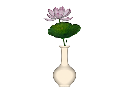 花瓶与荷花组合摆件