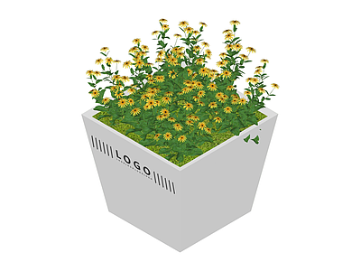 带Logo花箱盆栽
