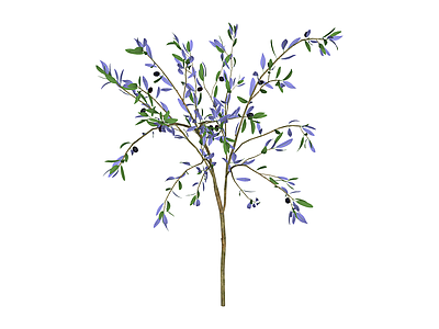 蓝花绿叶植物枝条