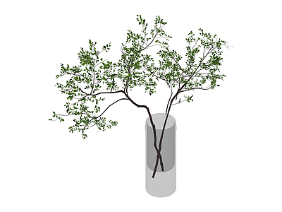 带玻璃花瓶绿植组合