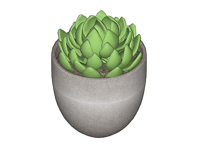灰色花盆绿植组合