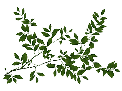 带盆绿植植物模型