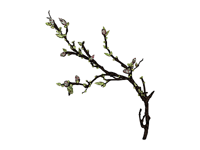 带芽枝条植物模型