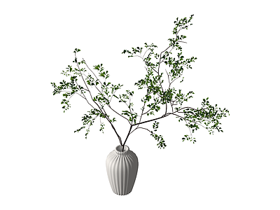 白色花瓶绿植组合