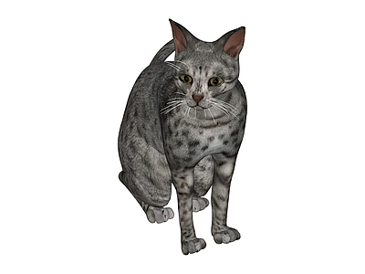 银灰色斑点猫模型