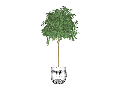 带盆绿植盆栽