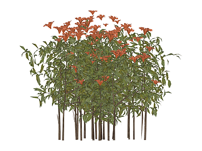 成丛开花植物组合