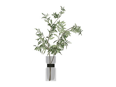 带盆绿植盆栽