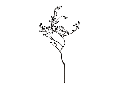 带果植物枝条模型