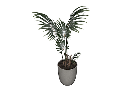 盆栽绿植组合