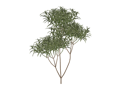仿真绿植灌木
