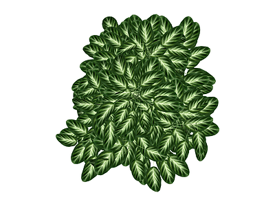 攀援绿植模型