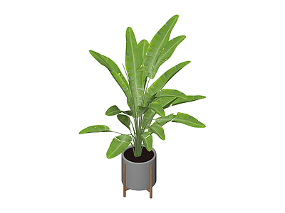 盆栽绿植带支架