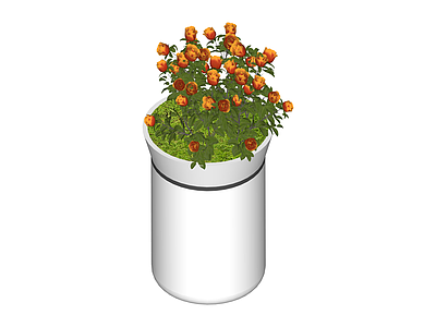 带盆盆栽绿植模型