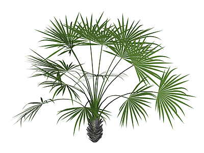 仿真棕榈植物盆栽
