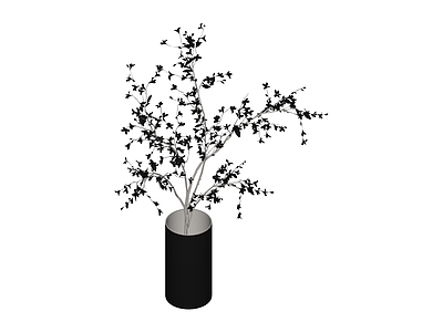 黑色方瓶插花植物