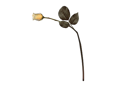 单支枯黄玫瑰花