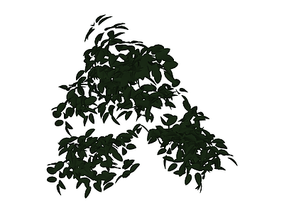 悬垂绿植藤蔓
