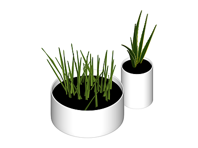 盆栽植物组合