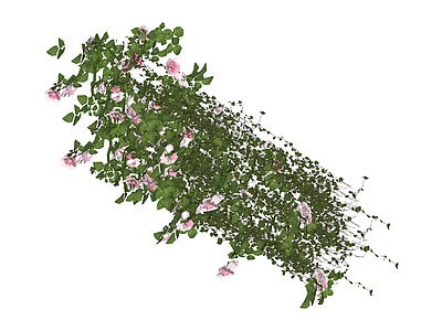 粉色玫瑰藤蔓花墙
