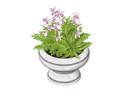 带盆绿植花卉组合