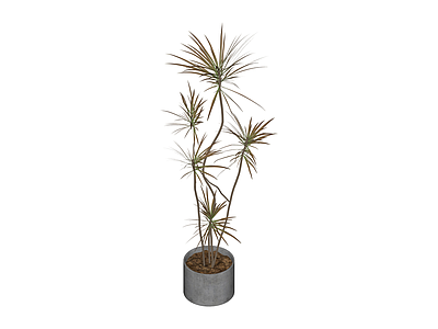 盆栽绿植模型