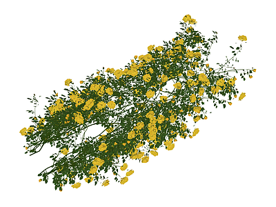 黄色月季花艺组合