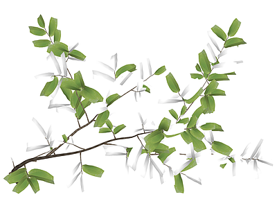 带花绿叶植物枝条