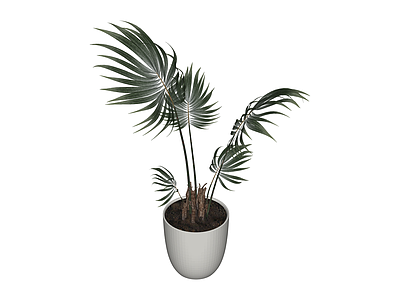 白色花盆绿植盆栽