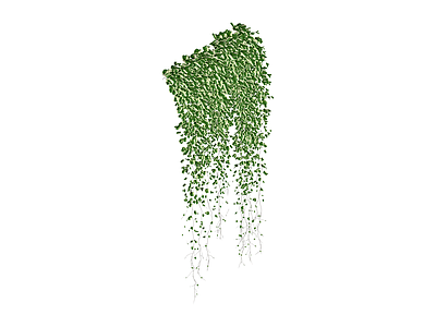 垂吊绿植模型