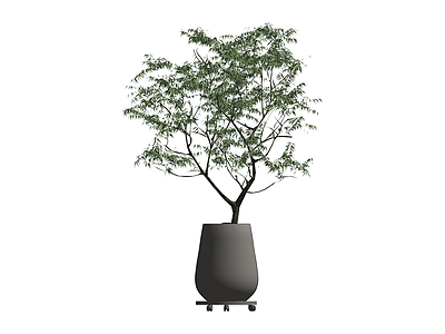 带盆绿植盆栽模型