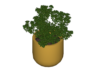 盆栽绿植模型