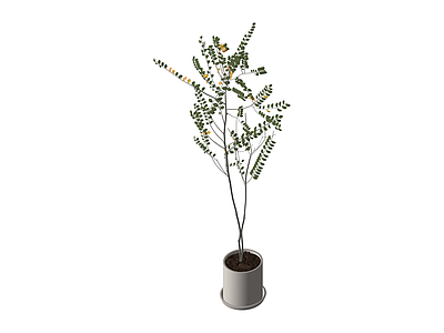 盆栽绿植模型