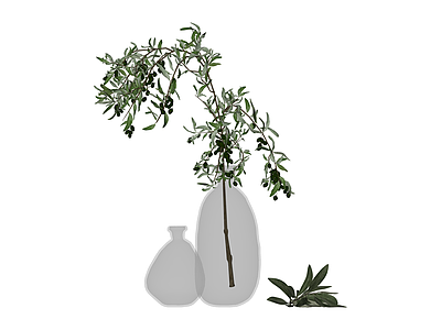 橄榄枝插花组合