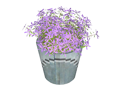 紫色花卉盆栽组合